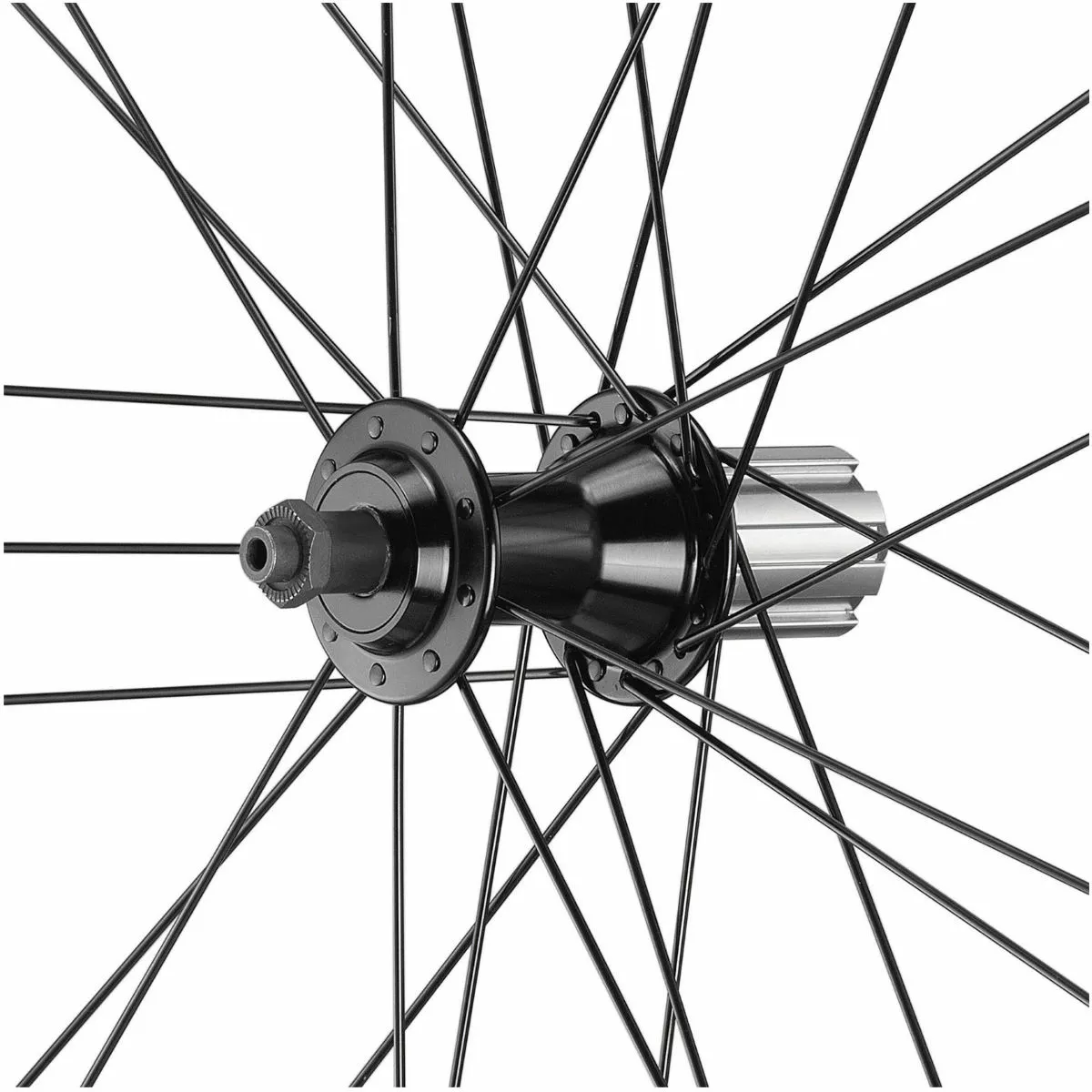Campagnolo® Juego De Ruedas De Carretera Campagnolo Calima C17 Freehub 8 Campagnolo® Juego De Ruedas De Carretera Campagnolo Calima C17 Freehub - Imagen 6