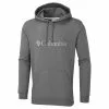 Sudadera Con Capucha Columbia CSC Basic Logo™ II -Bicicletas comprar Columbia CSC Basic Logo II Hoody Hoodies City Grey Heath AW22 1681664023SMALL