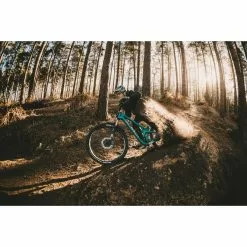 Cubierta Delantera De MTB Goodyear Newton Enduro (Tubeless) -Bicicletas comprar Goodyear Newton Enduro Tubeless Front MTB Tyre Tyres Black GR 015 64 584 V004 R 8