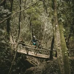 Goodyear - Neumático MTB Delantero Sin Cámara Newton Trail -Bicicletas comprar Goodyear Newton Trail Tubeless Front MTB Tyre Tyres Black GR 015 64 622 V002 R 7