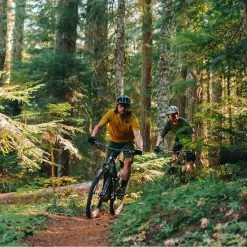 Pantalón Corto Gore Wear Fernflow -Bicicletas comprar Gore Wear Fernflow Shorts Baggy Shorts Utility Green SS22 100854BH0003 7