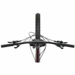 Bicicleta Rígida Ragley Big AL 1.0 (frambuesa) -Bicicletas comprar Ragley Big AL 1 0 Hardtail Bike 2022 07